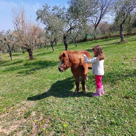 Çiftlik konaklama San Marco