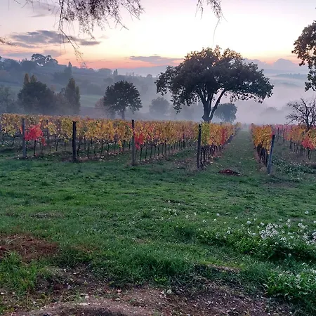 Çiftlik konaklama San Marco