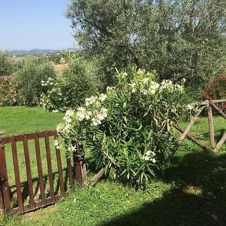 San Marco Çiftlik konaklama